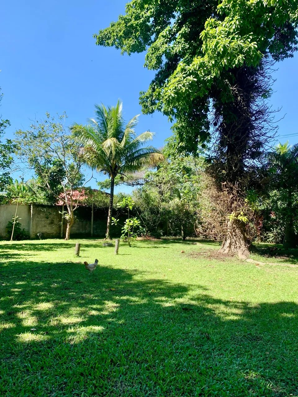 Sítio 5.000 m2 com RGI 