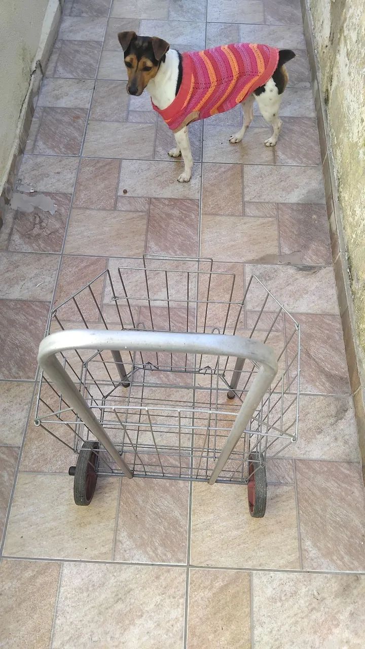 Carrinho de feira dobravel - Foto 2