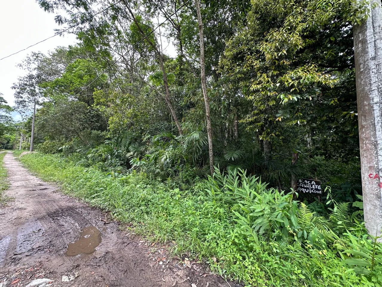 Terreno pra chácara  - Foto 2