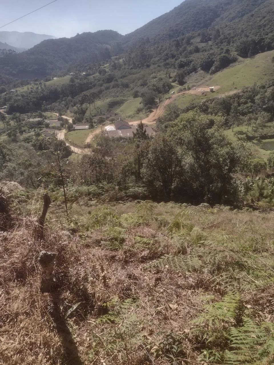 terreno Morro Mineiro em Angelina - Foto 4