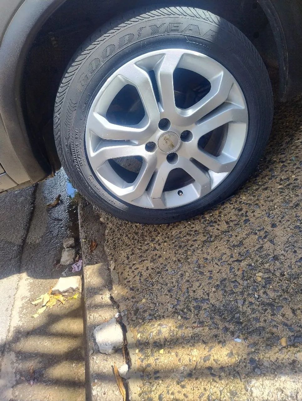 Roda do vestiário 16