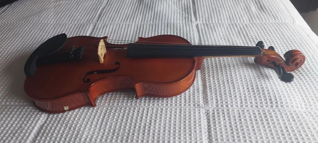 VIOLINO GIANNINI 4/4 (2011) Completo + Case - Foto 4