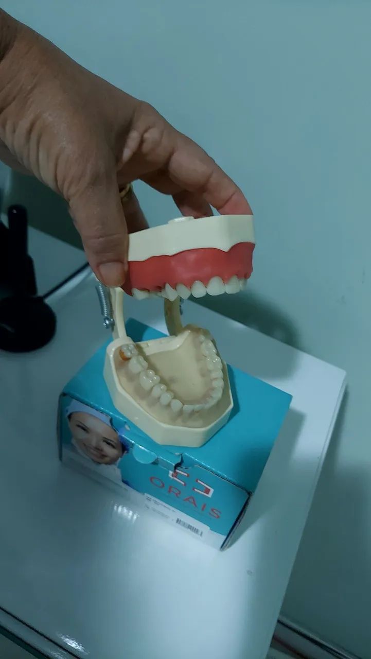 Manequim Odontologico - Foto 2