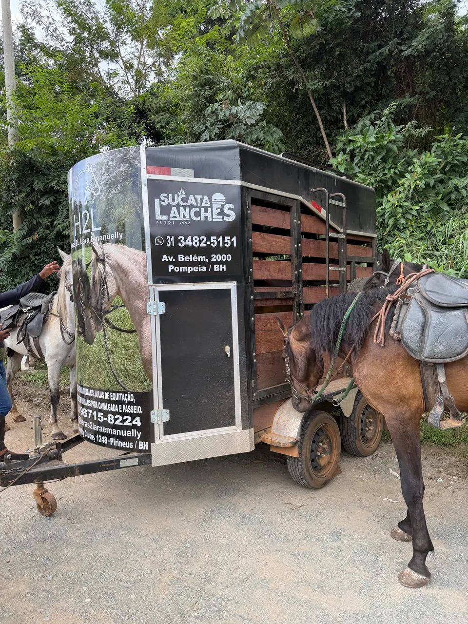 Aluguel Carretinha para 2 Cavalos - Foto 2