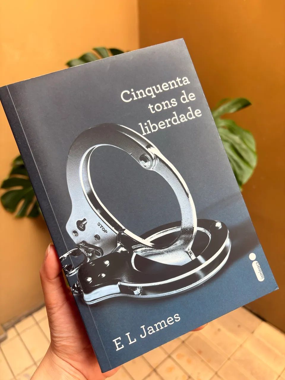 LIVRO CINQUENTA TONS DE LIBERDADE 