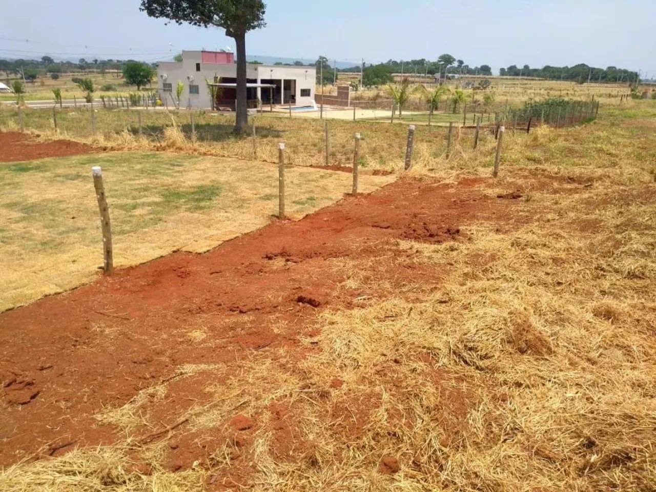 Lote - Cond. Monte Hermon - Trindade - Foto 4