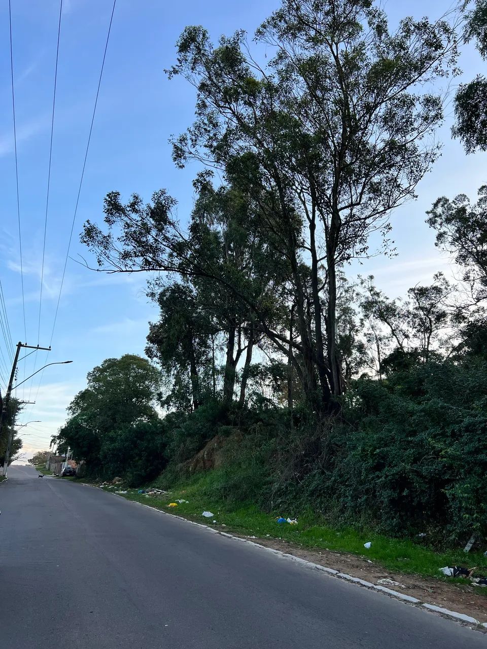 Foto - Viamão - Santa Isabel