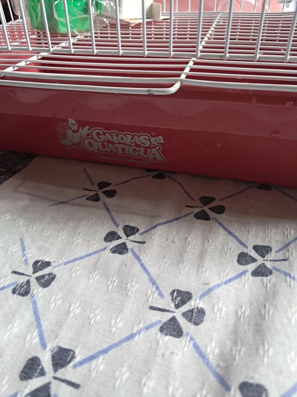 Gaiola grande para belga - Foto 4