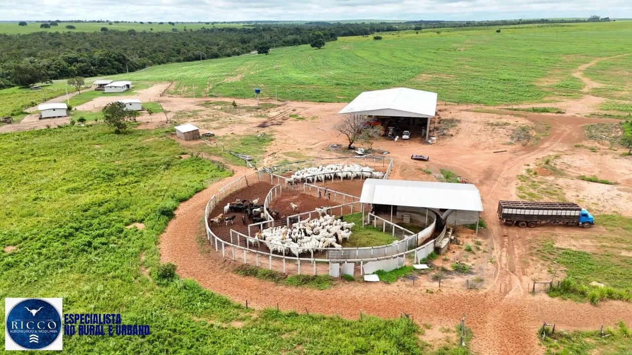 Fazenda à Venda em Colinas  TO | 1.598 Hectares - Foto 2
