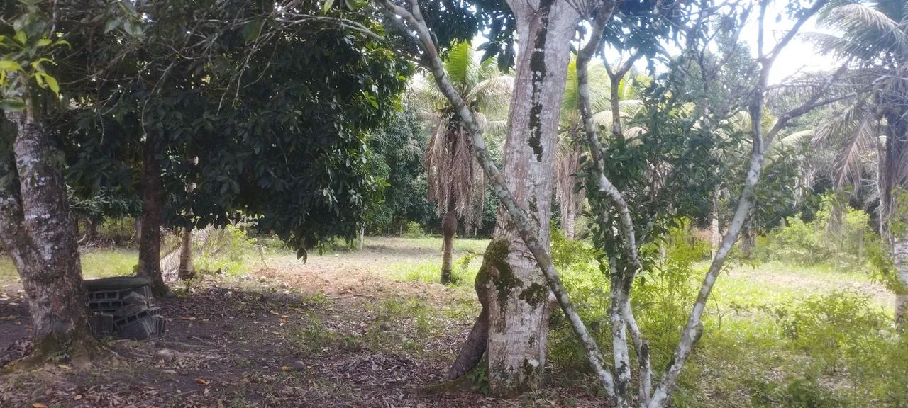 VENDE-SE Sítio/Chácara  - Foto 5