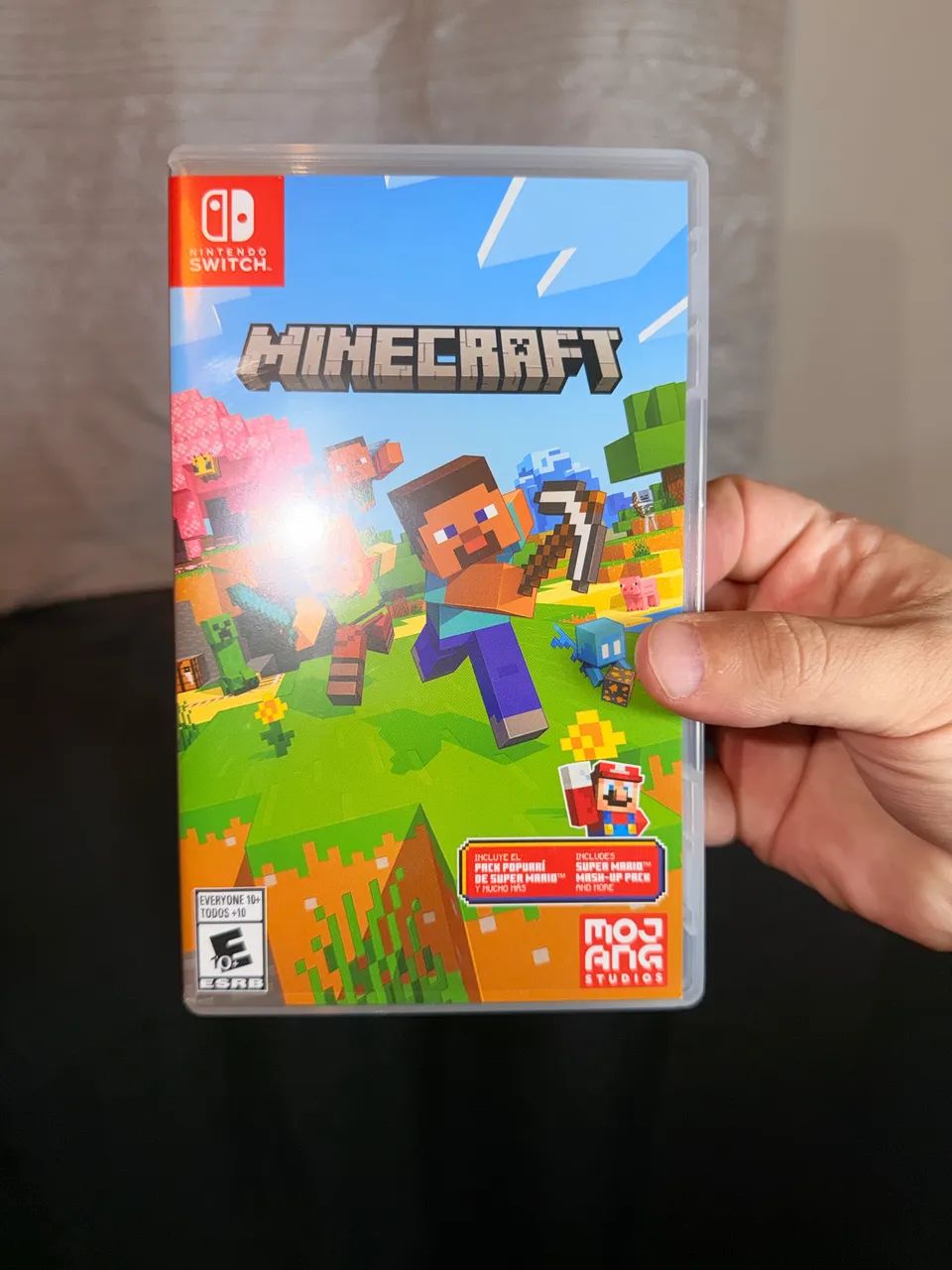 Minecraft Nintendo Switch