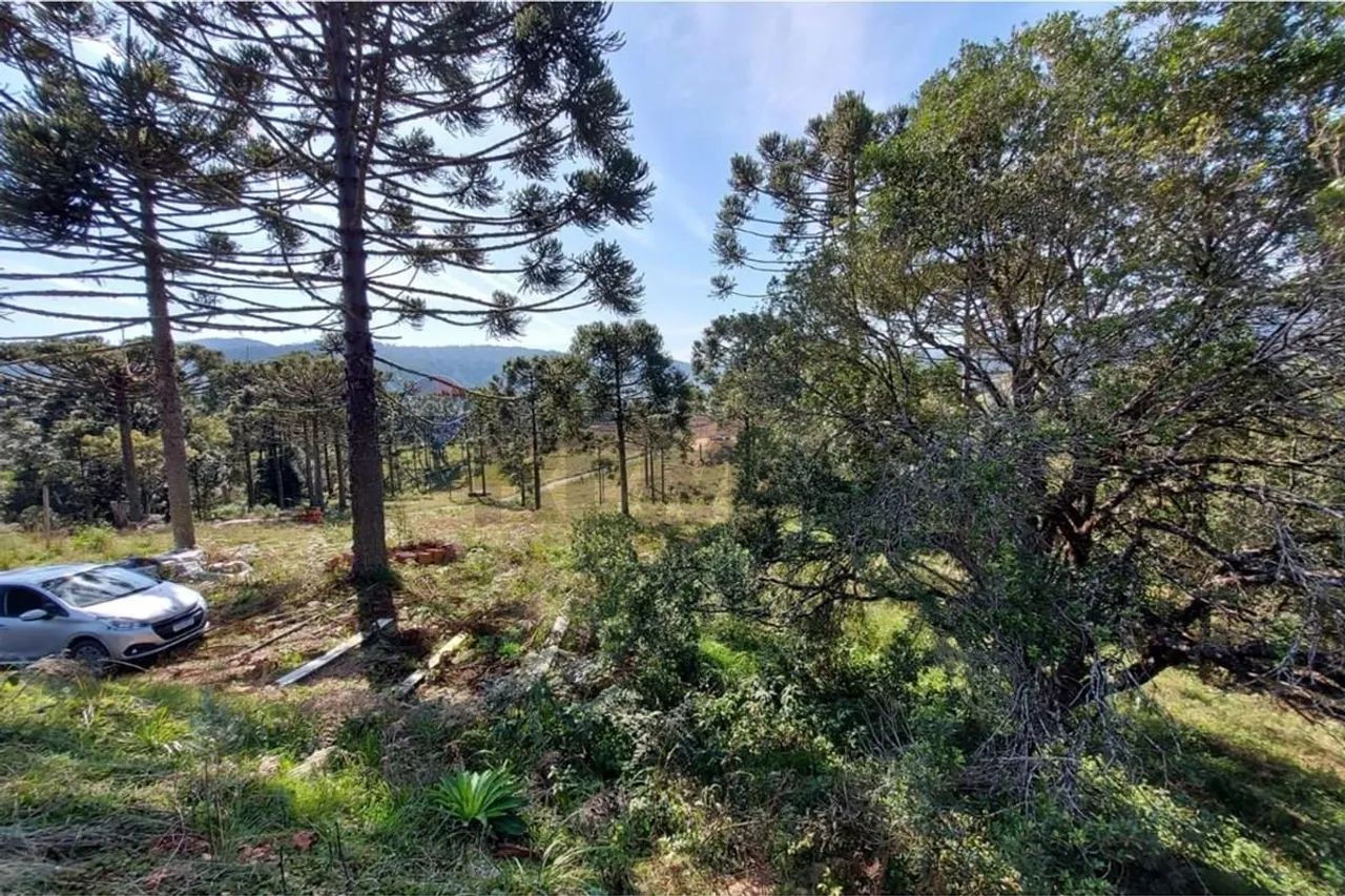 Terreno em Paraíso da Serra - Natureza e Oportunidade! - Foto 5