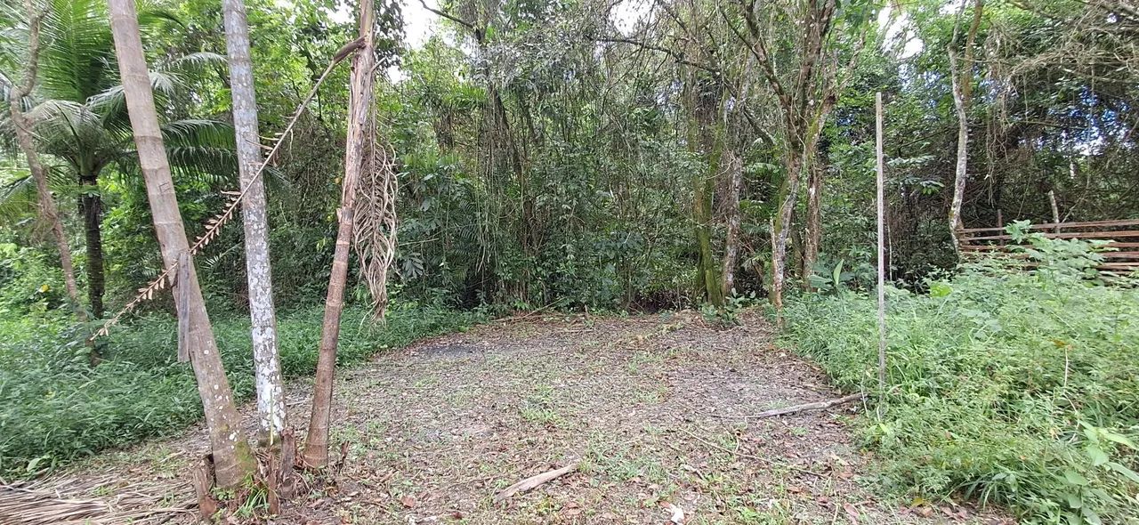 Vendo Terreno! - Foto 3