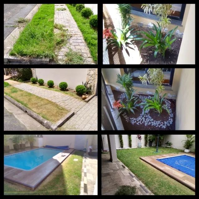 Jardinagem  - Foto 5
