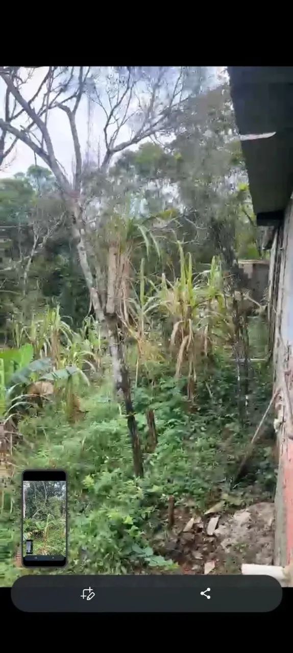 Oportunidade Chácara c/ Casa e riacho - Foto 3