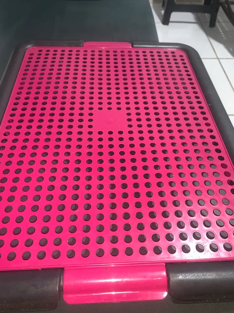 Coleira peitoral para pet ajustável + tapete higiênico para pet 