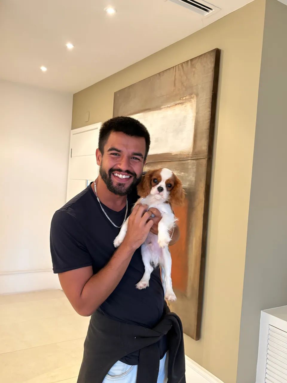 Adestramento de cães 