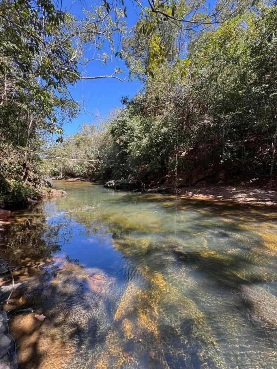 Oportunidade área rural em Pirenópolis 3.5 km da cidade - Foto 2