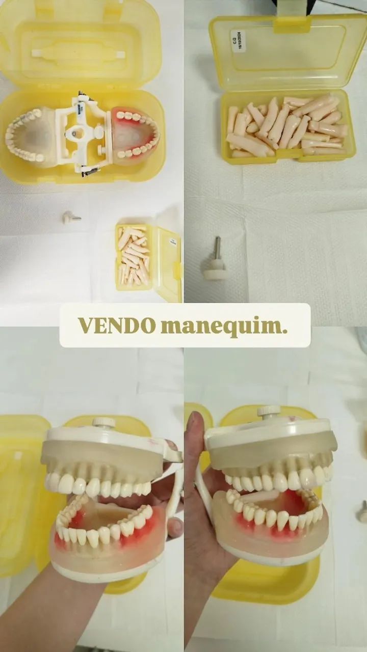 Manequim odontológico 