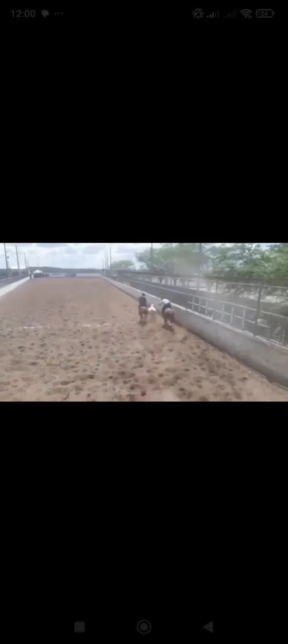 Vendo cavalo de direita pronto! - Foto 3