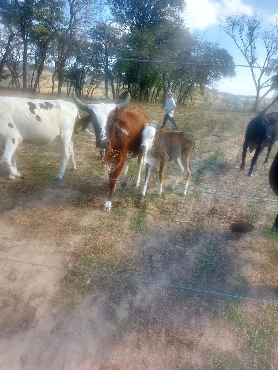 Sitio - Foto 5