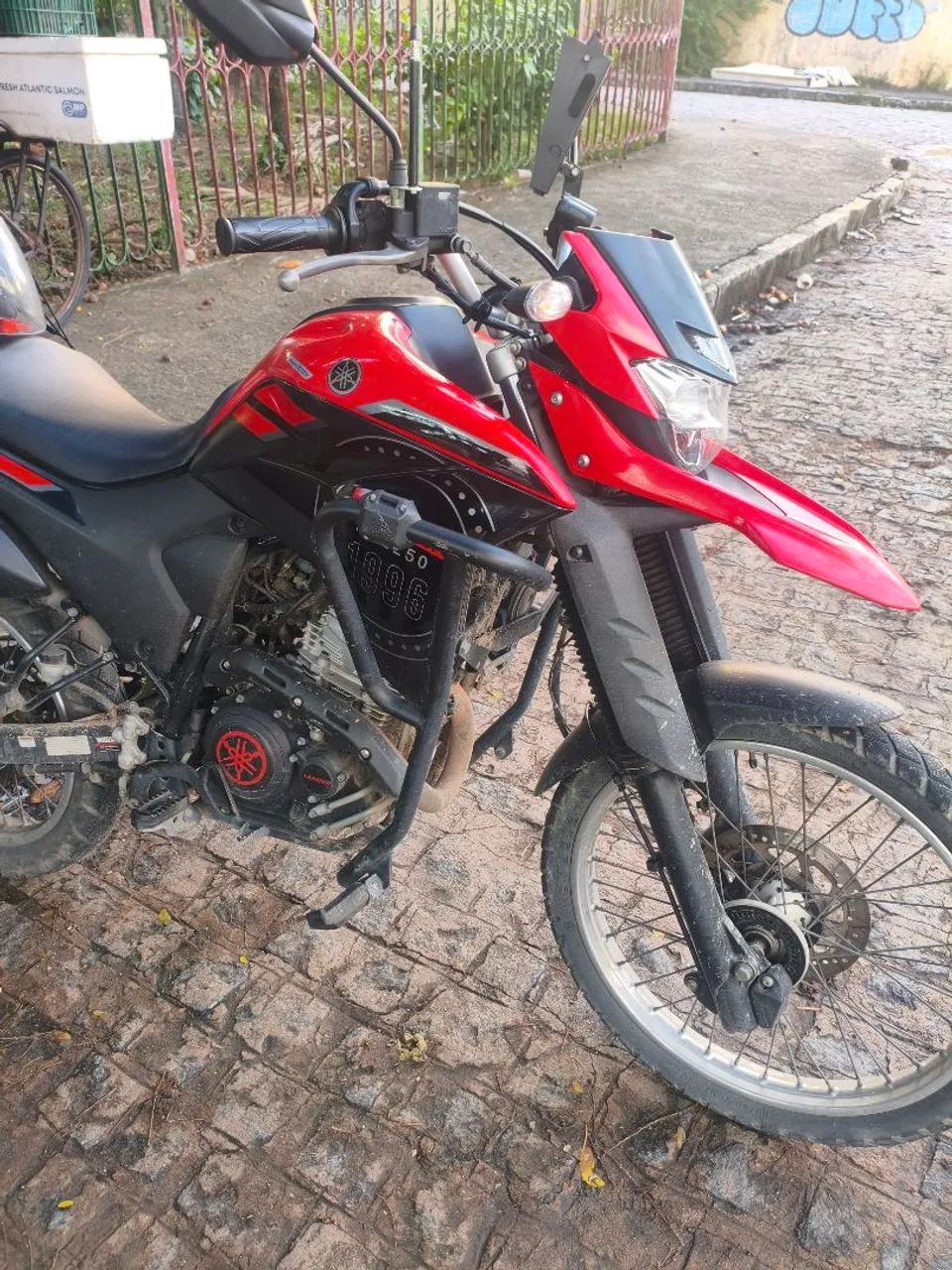 Lander 250 2024 . - Foto 2