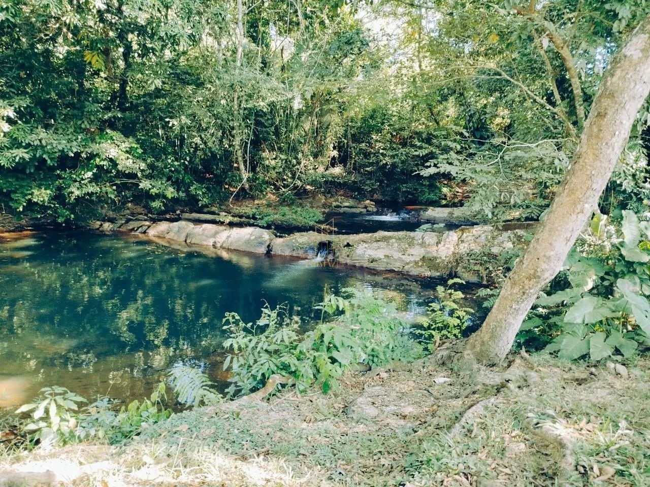 Sítio em Campo Verde - Ponce de Arruda - Foto 4