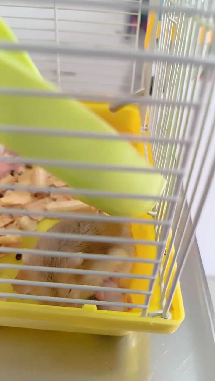 Gaiola para hamster  - Foto 3