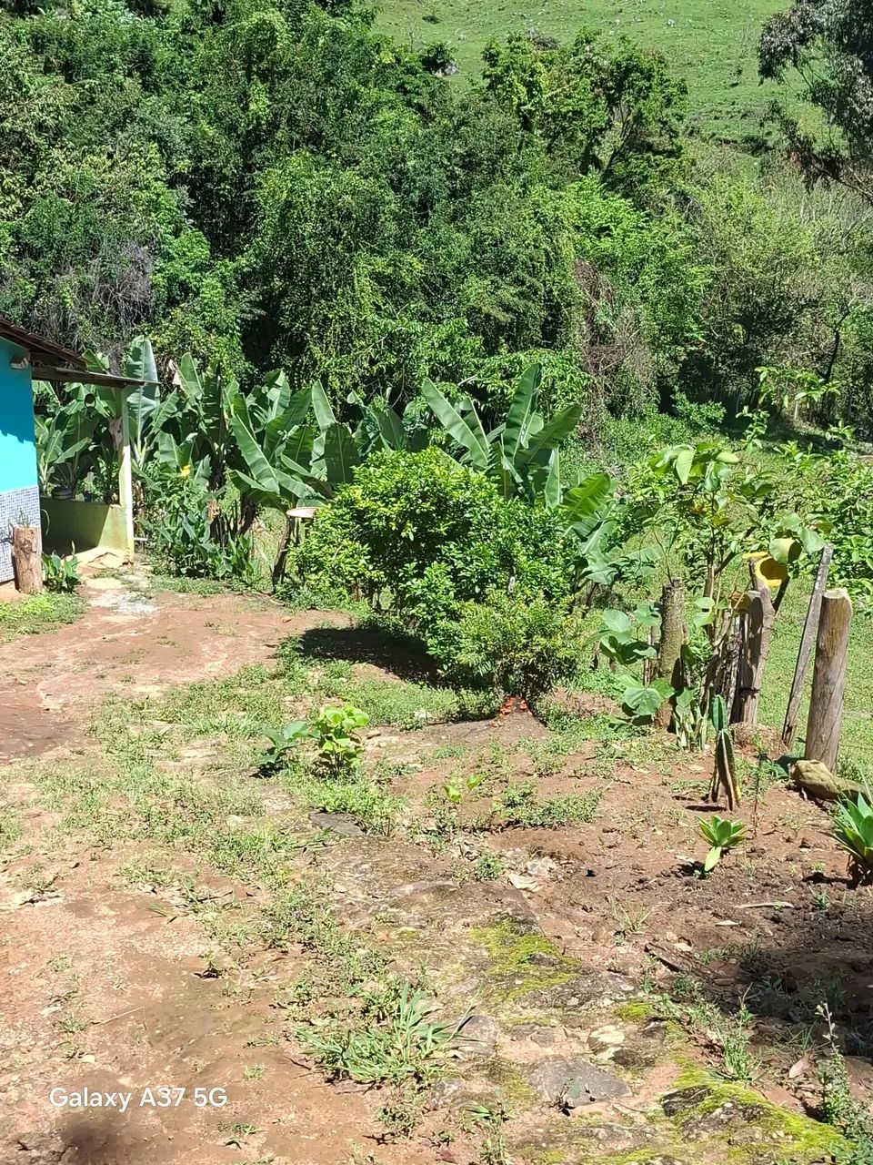 Chácara no sul de Minas  - Foto 2