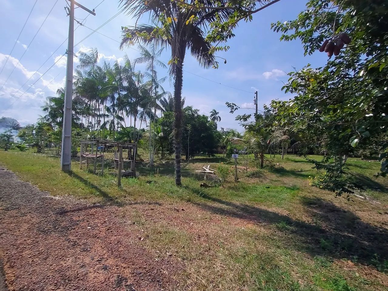Vendo Sítio - AM 240 Estrada de Balbina - Foto 2
