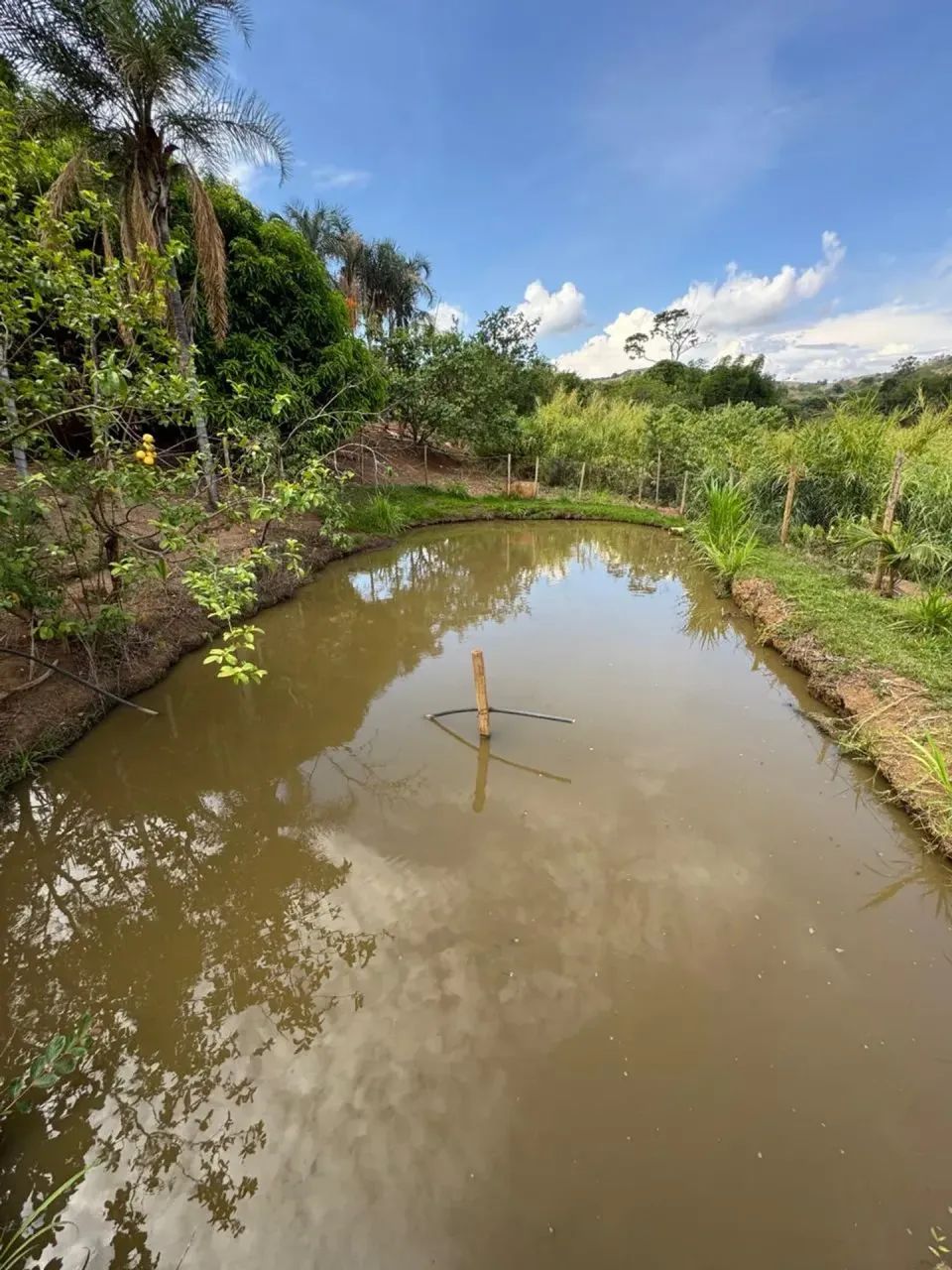 Chácara em Ouro Verde/ Campo limpo   2 Alqueires - Foto 5
