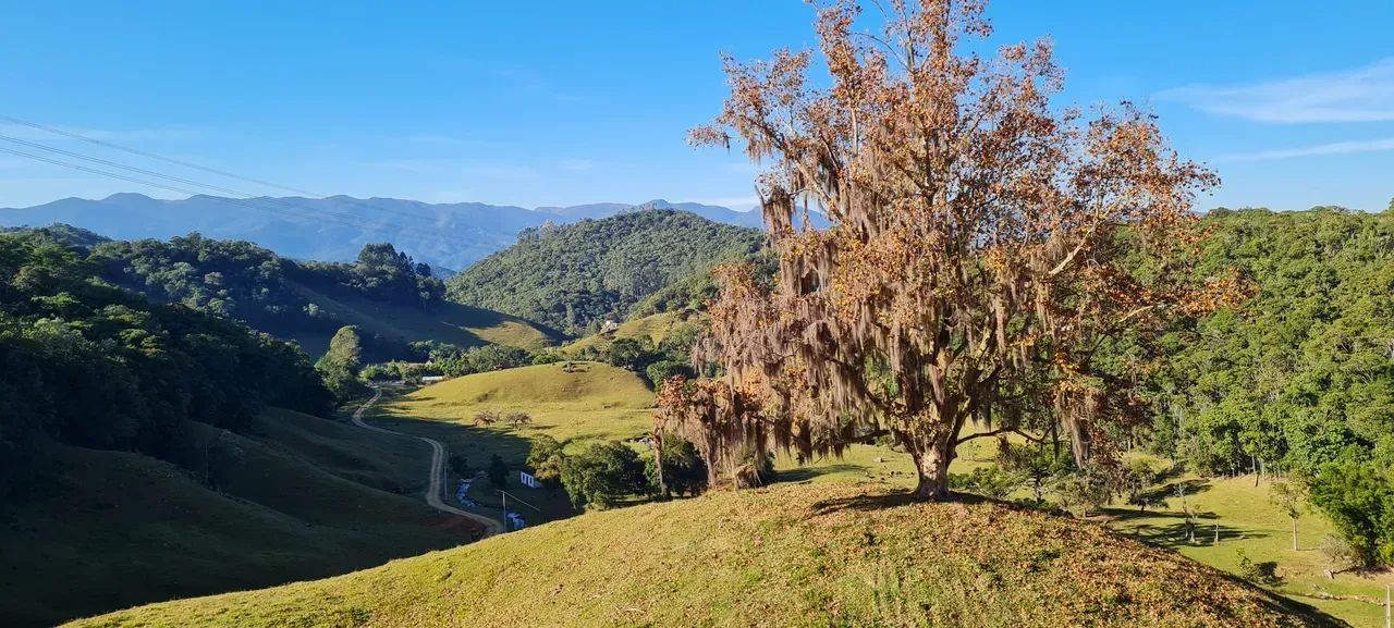 Sitio com linda vista em Águas Mornas - SC - Foto 5