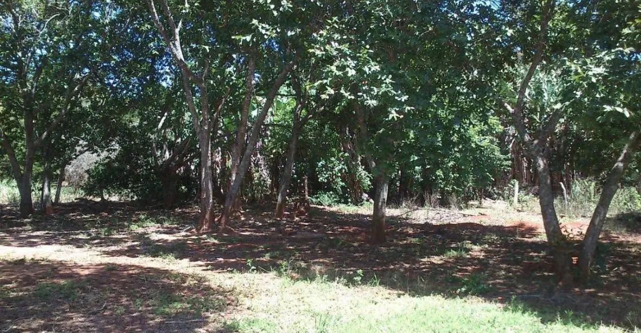 Chácara  - Foto 4