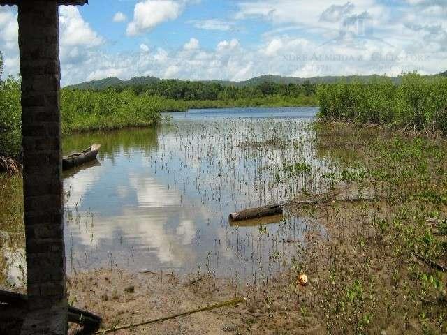 Fazenda para venda em camamu, tapuía - Foto 3