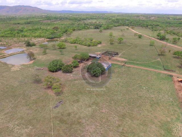 Sítio 70 ha na guia - Foto 12