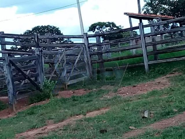 Fazenda/com um projeto que da valorização as terras - Foto 16