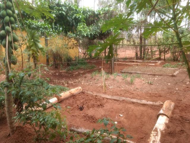 Arrendo Sitio 25 Hectares no Noroeste Pr - Foto 16