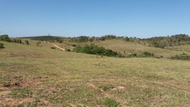 Araruama,Lagoa de Juturnaíba, chácara 2.500m2, - Foto 17