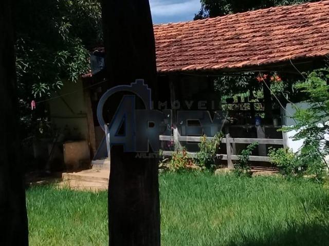 Fazenda/com um projeto que da valorização as terras - Foto 12