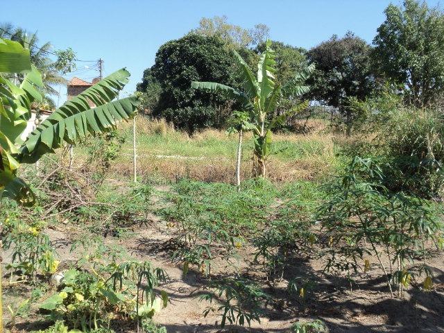 Terreno de 4.352,60 m² com uma casa de 02 quartos com dependência - Foto 10