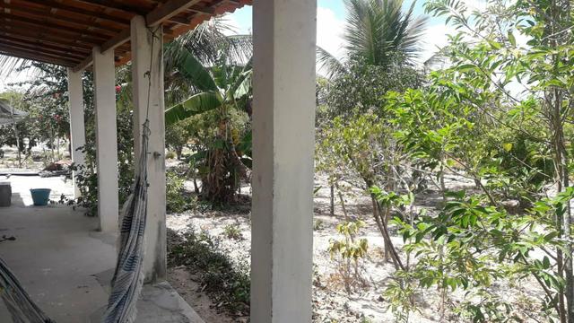 Sítio de 01 tarefa murado por 90 mil - Foto 6