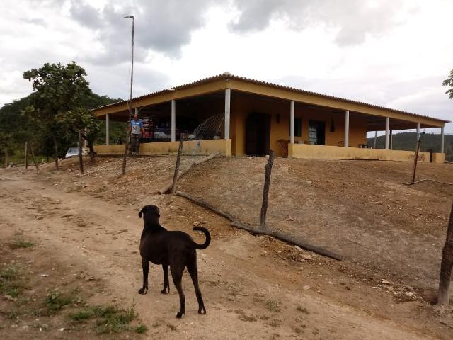 Fazenda 22 alqueires - Foto 7