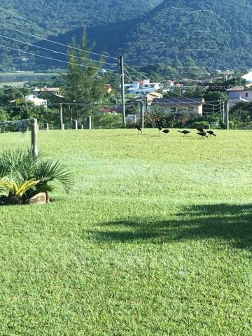 Casa à venda com 2 dormitórios em Areias do macacú, Garopaba cod:3338 - Foto 14