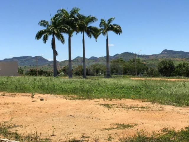 Lote no Alto Santa Mônica - Monte Olimpo - Colatina -ES - Foto 13