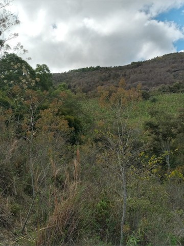 Vendo Excelente Terreno 35 hectares em Maria da Fé Sul de Minas Gerais - Foto 4