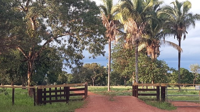 40 Alqueires em cocalinho Mt  - Foto 2