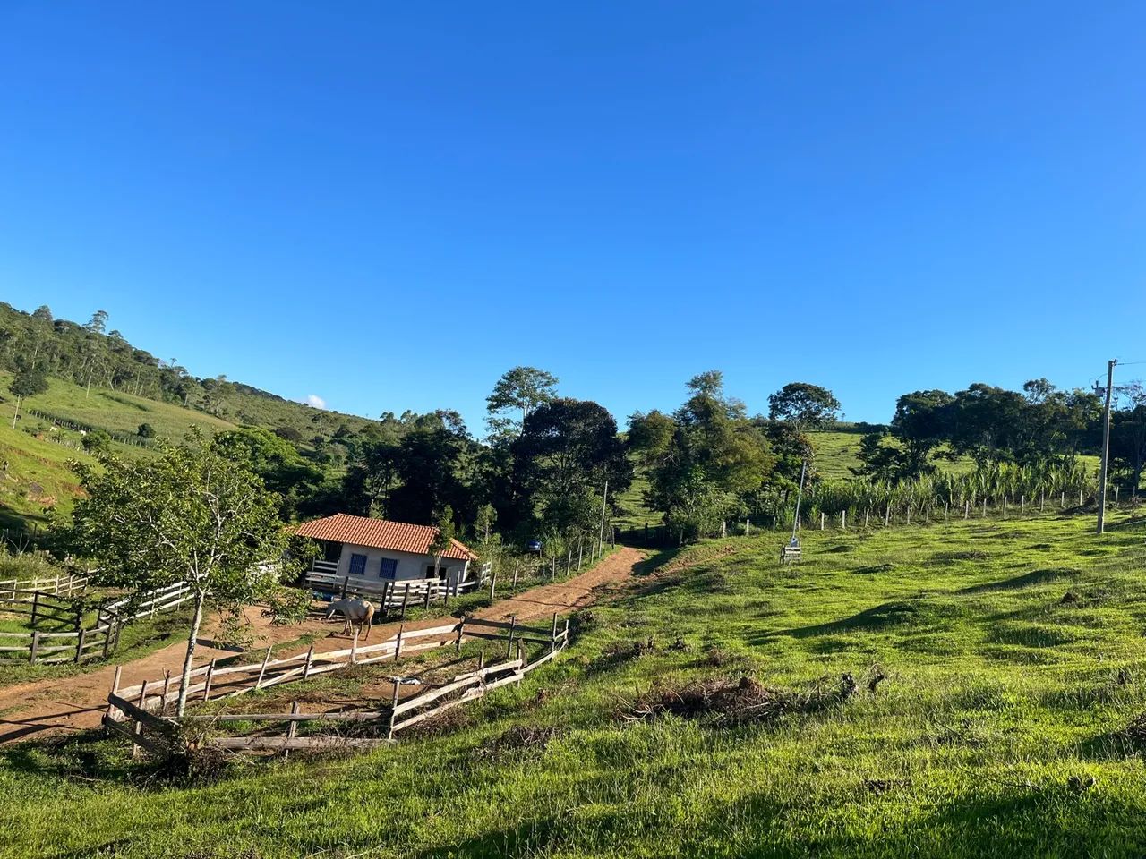 foto - Belo Horizonte - São Salvador