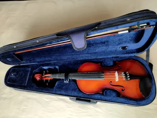 Lindo Violino Eagle VE 441 4/4 completo (já ajustado por Luthier)
