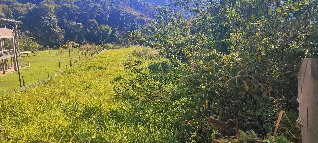 Granja com nascente em Humaitá - Foto 5