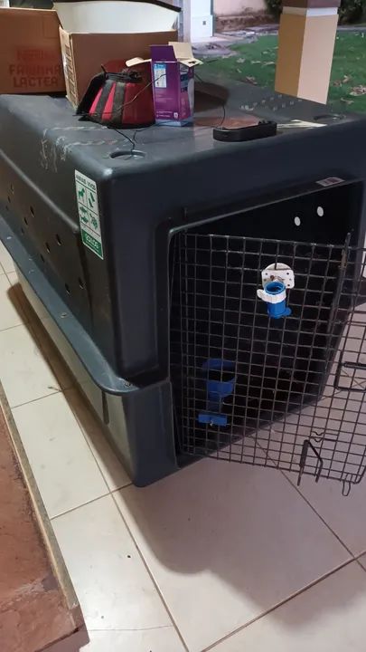 Caixa de Transporte para Cães